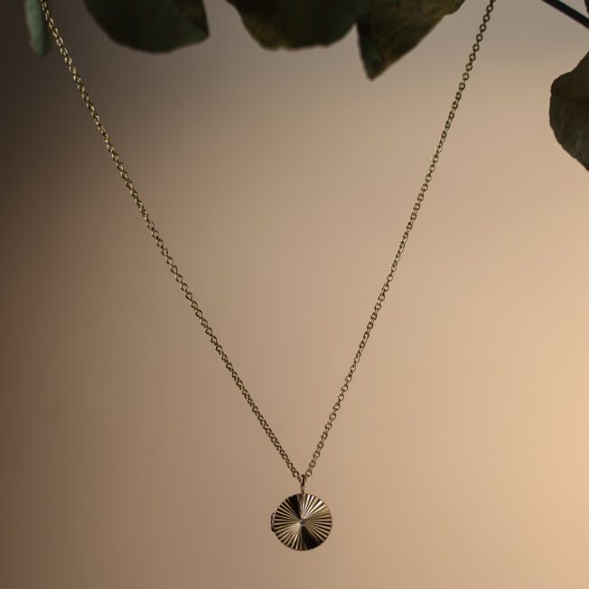 Serenity "Purpose medaljong" i forgylt sølv