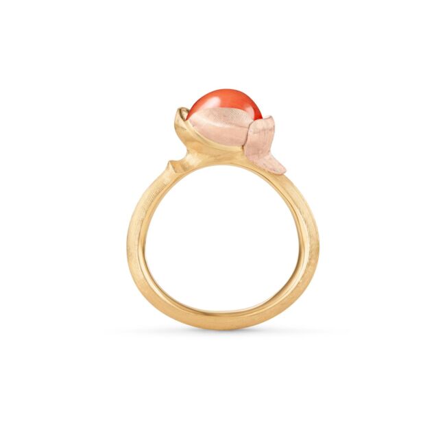 Lotus ring nr 1 i 18 k gult gull med rød korall