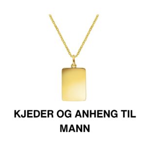 Legacy Id-plate armbånd i gullfarget stål