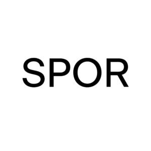 Spor Abstrakt blad ørepynt i hvitt sølv