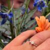 Noën «Twist ring» i hvitt gull