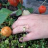 Noën "Stellini" ring i gult gull, med diamanter og ferskenfarget månesten