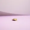 Sandra Lyng Yeehaw charm i forgylt sølv