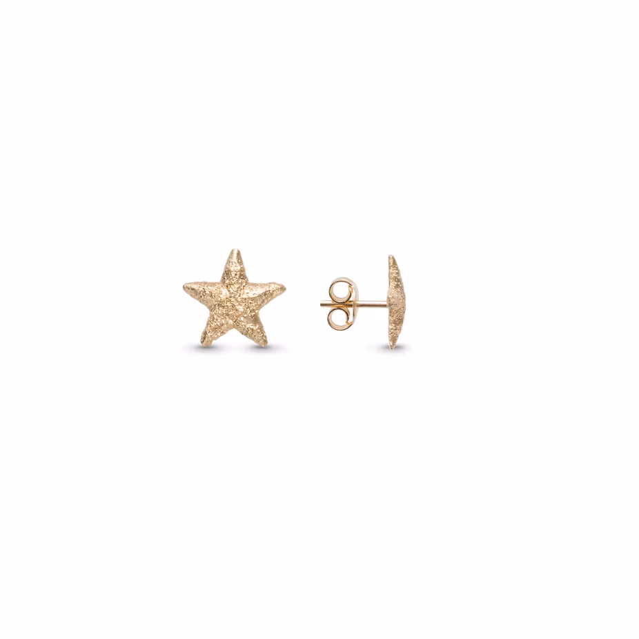 9850-1YG Catwalk Exclusive Stardust Star ørepynt i forgylt sølv